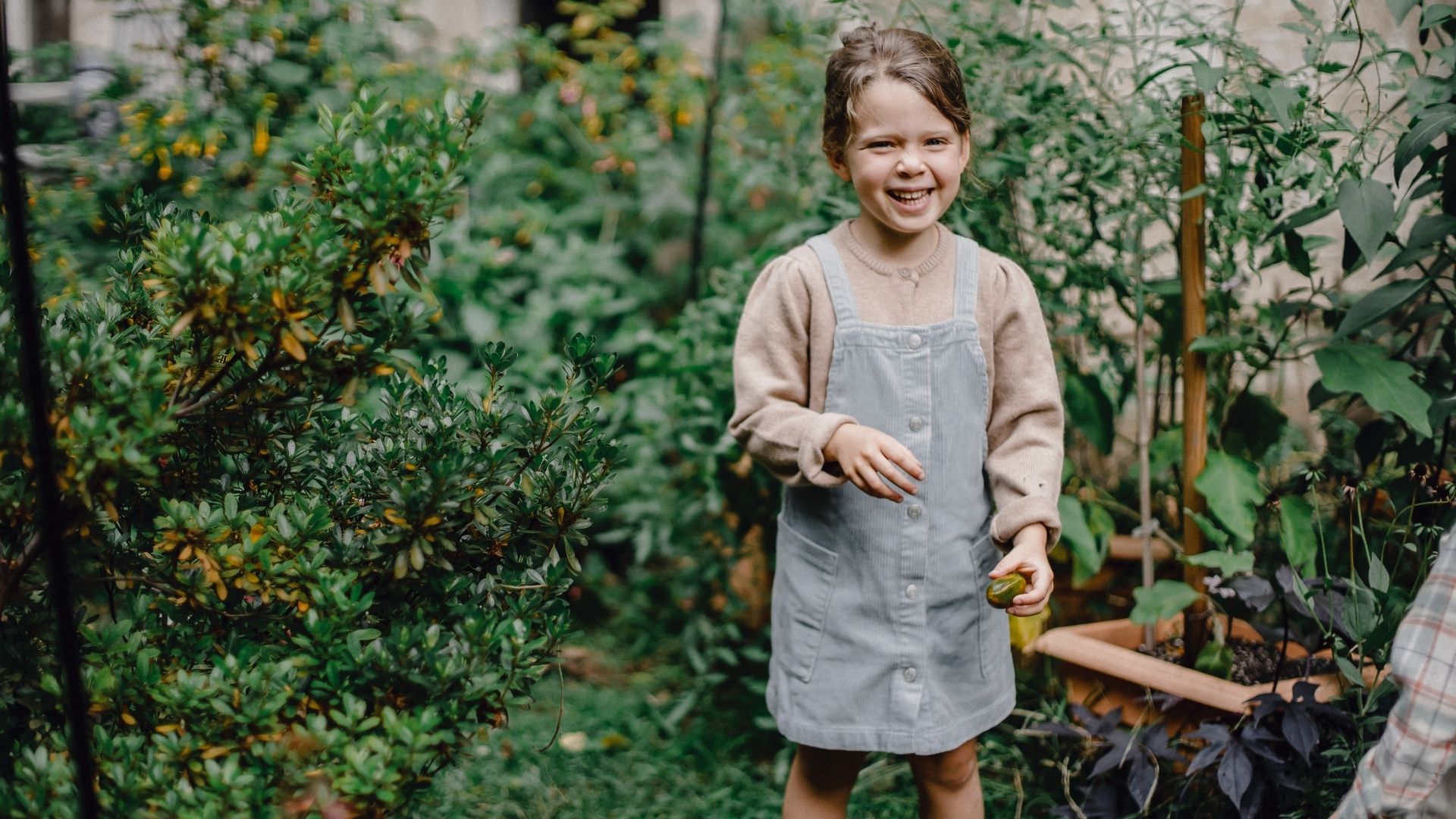 Умови для гостей з дітьми